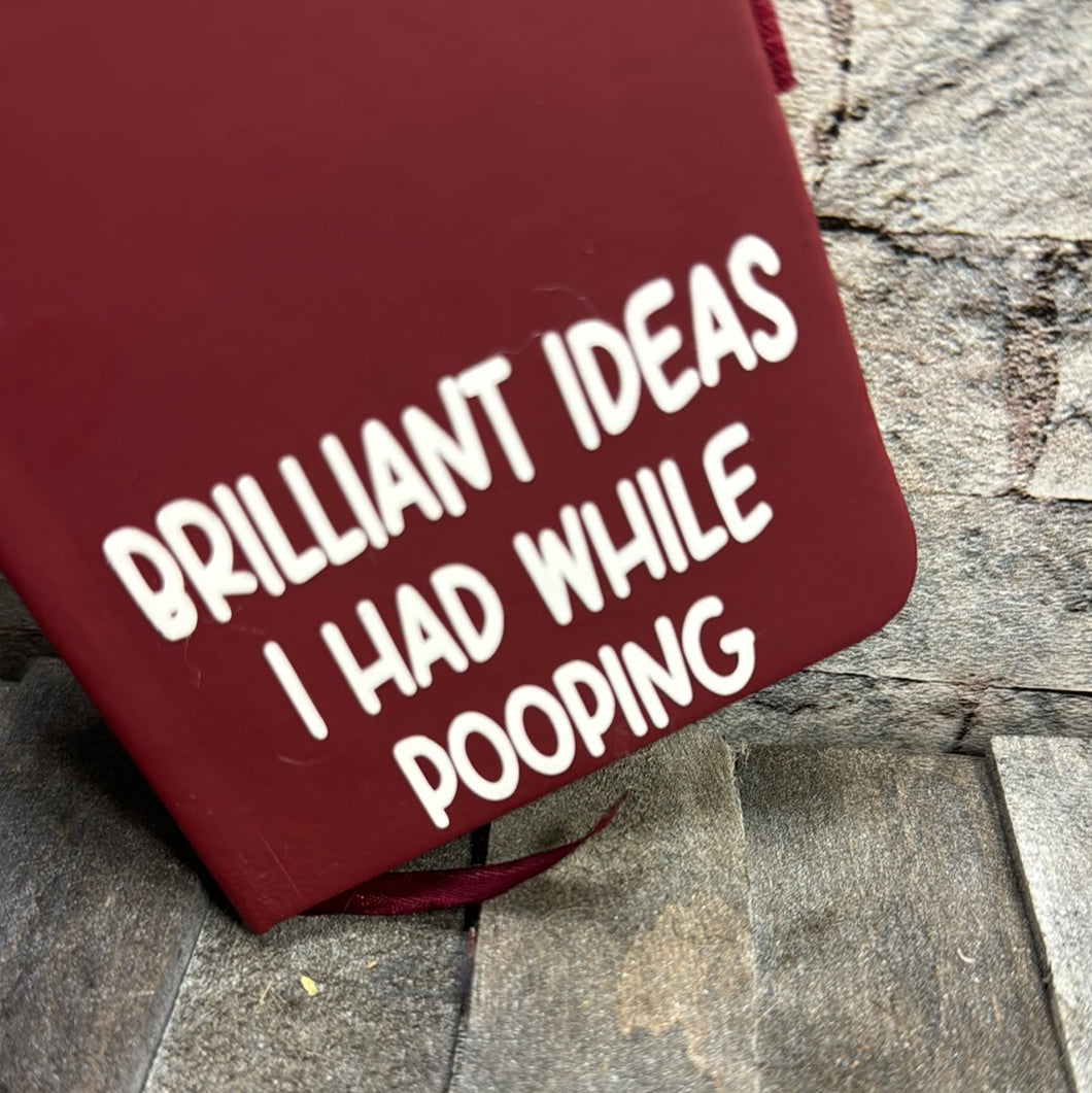 BRILLIANT IDEAS I HAD WHILE POOPING